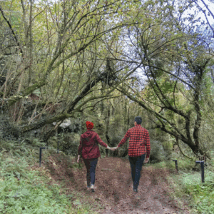 Baño de bosque terapia de reconexión de pareja