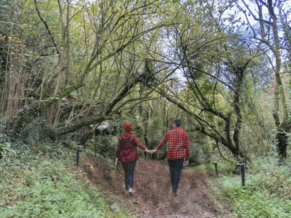 Baño de bosque terapia de reconexión de pareja