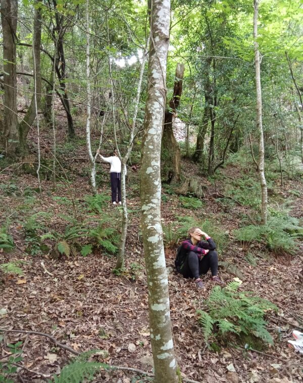 Baño de bosque terapia de reconexión de pareja - Imagen 2
