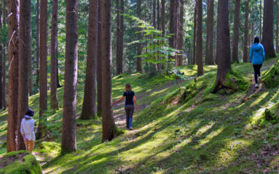 Diferencias entre baños de bosque, senderismo y mindfulness en la naturaleza