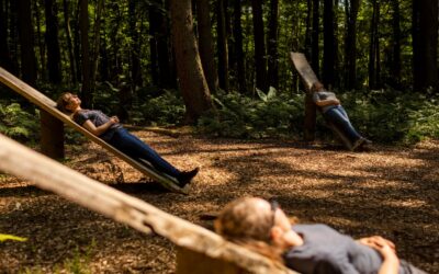 ¿Por qué te sientes bien en la naturaleza?