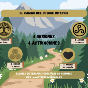 El camino del bosque interior